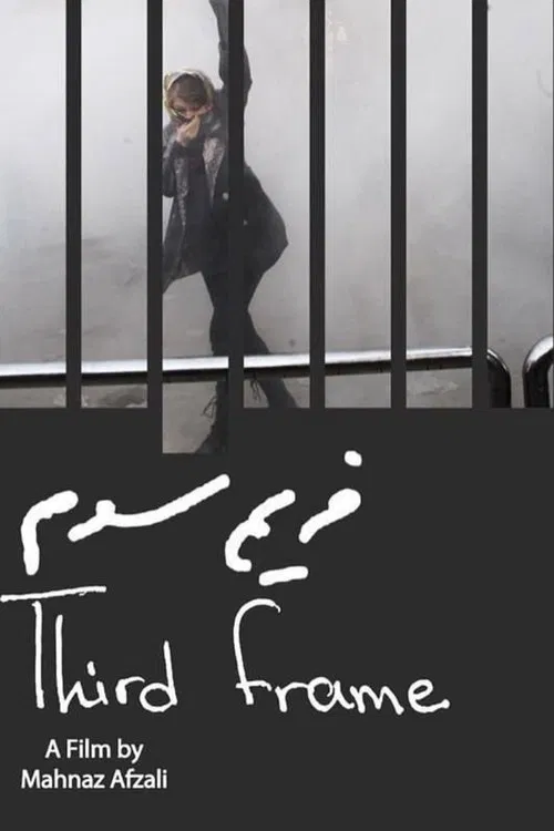 The Third Frame movie poster