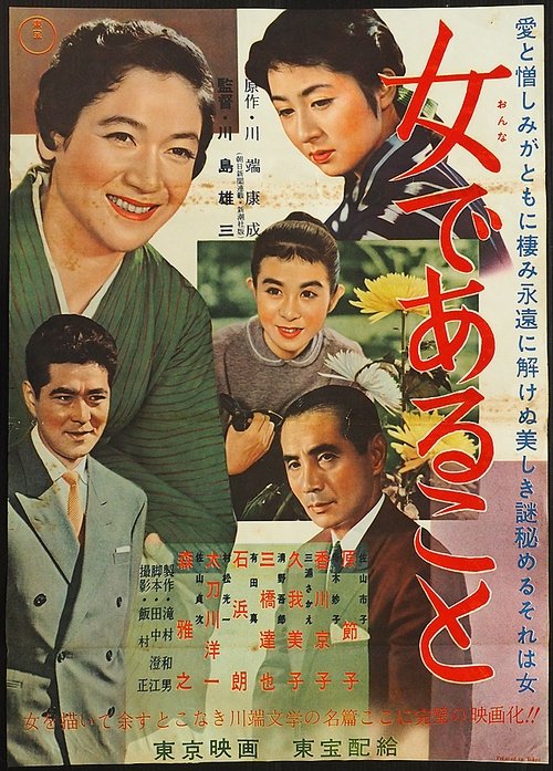 Woman Unveiled movie poster