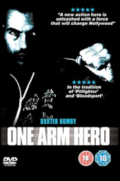 One Arm Hero movie poster