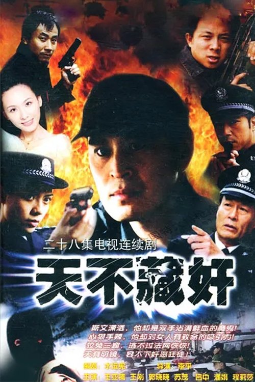 天不藏奸 tv show poster