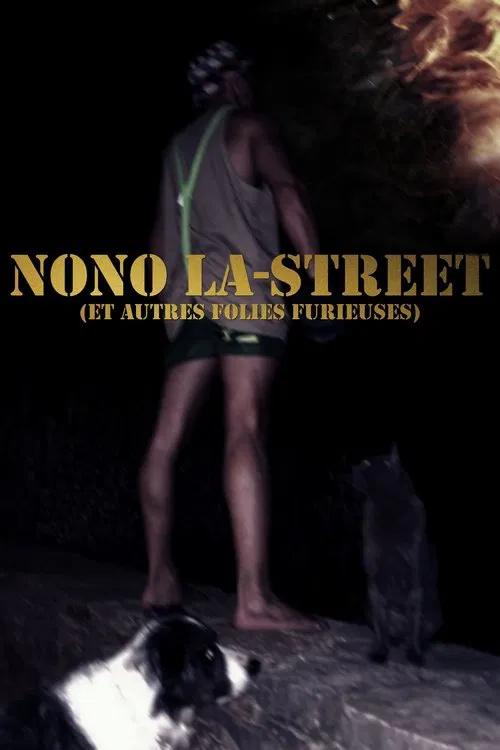 Poster do filme Nono La-Street (et autres folies furieuses)
