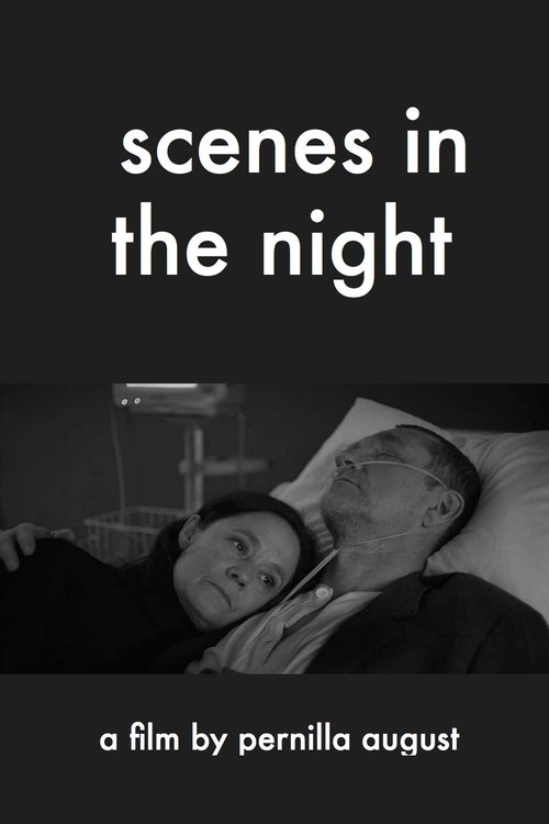 Scenes in the Night movie poster