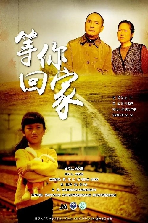 Waiting for You to Come Home movie poster