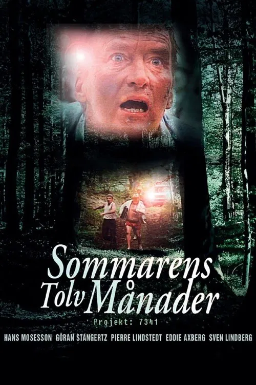 The Twelve Months of the Summer movie poster