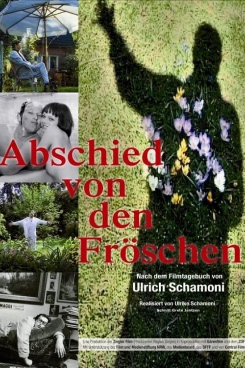 Abschied von den Fröschen movie poster
