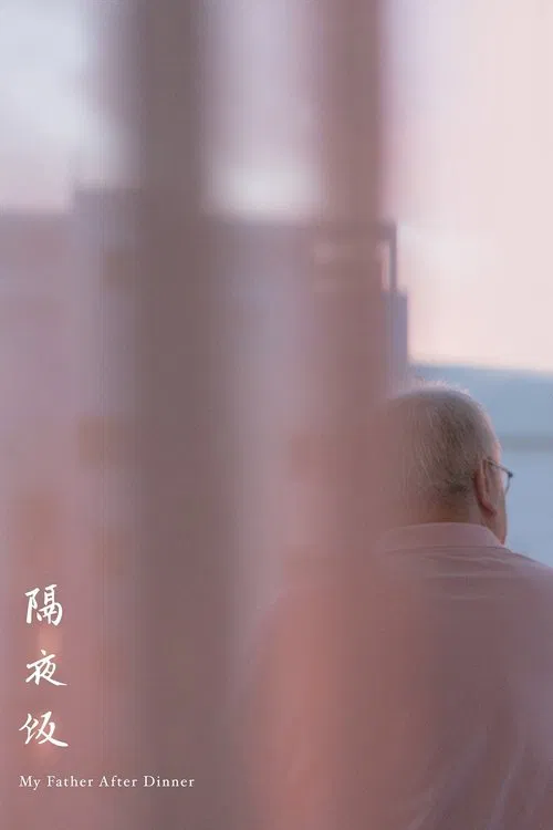 My Father After Dinner movie poster
