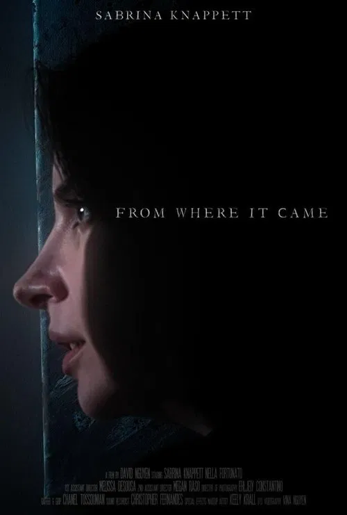 From Where It Came movie poster