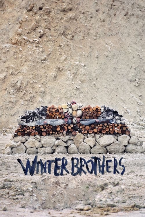 Winter Brothers movie poster