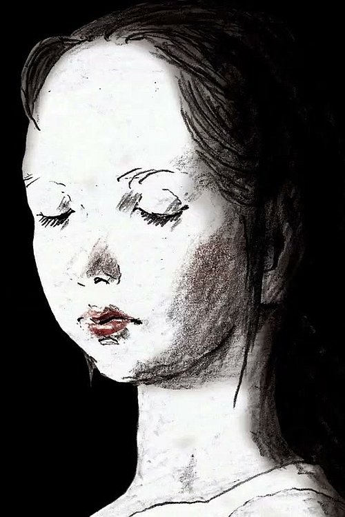 The sky that has fallen movie poster