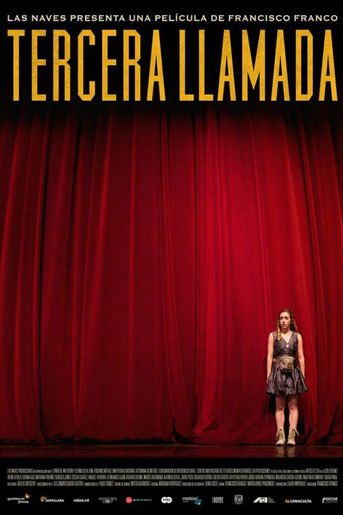 The Last Call movie poster