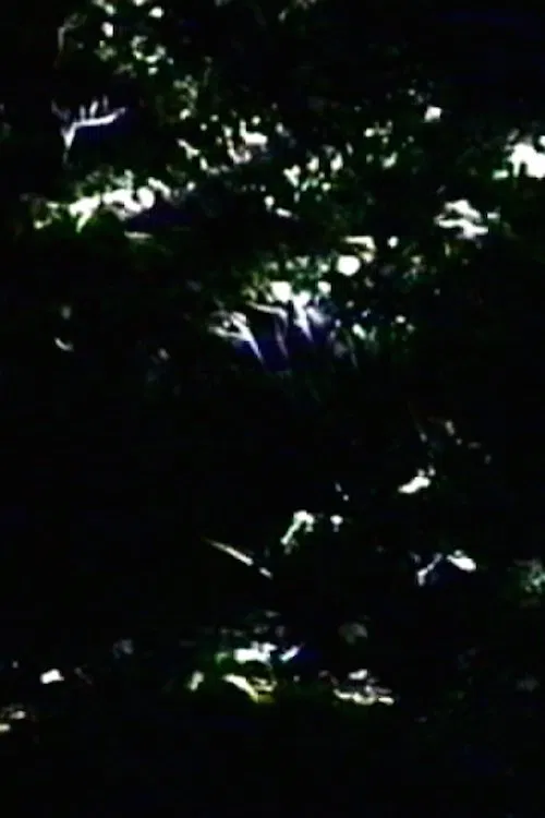 Poster do filme The Darkening