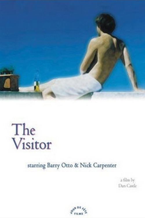 Poster do filme The Visitor