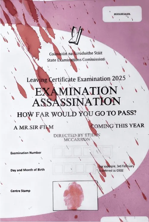 Examination Assassination movie poster