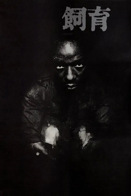 Poster do filme The Catch