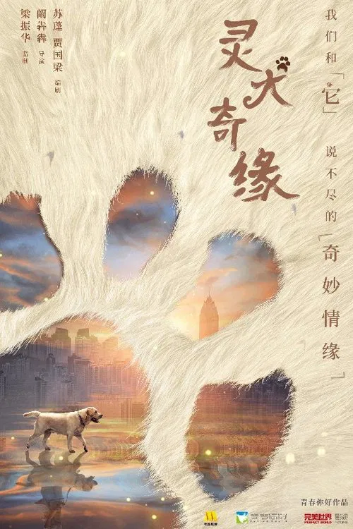 灵犬奇缘 movie poster