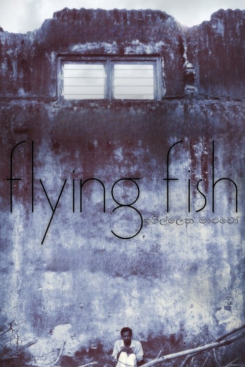 Poster do filme Flying Fish