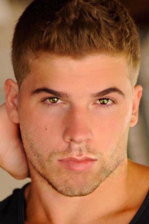 Casey Sullivan profile picture