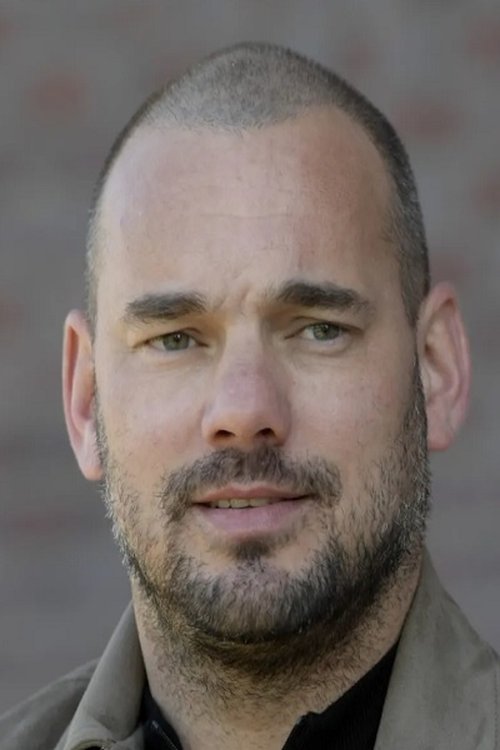 Wesley Sneijder profile picture