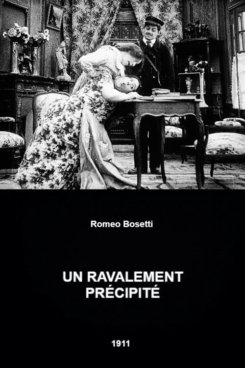 A Hasty Renovation movie poster