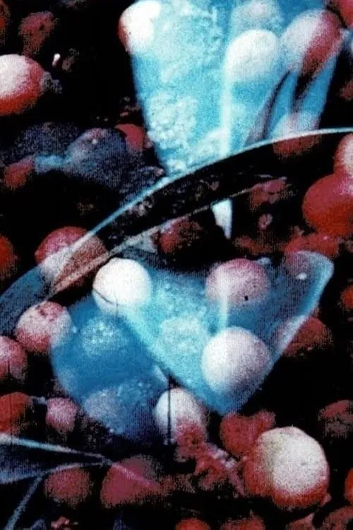 Bark-Rind movie poster