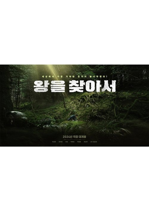 Seeking the King movie poster