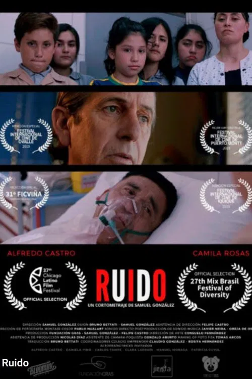 Ruido movie poster