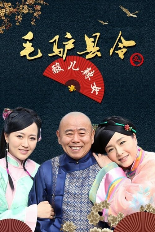 Donkey Magistrate: Sour and Hot Daughters movie poster