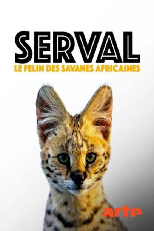 Servale - Afrikas unbekannte Katzen movie poster