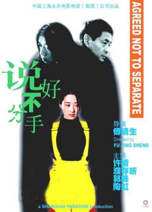 Agreed Not to Separate movie poster
