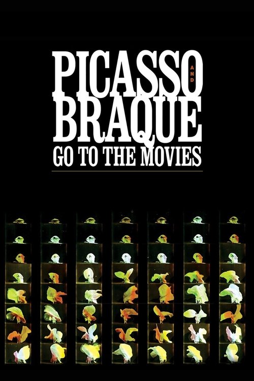 Picasso and Braque Go to the Movies movie poster