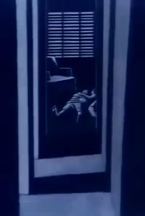 Poster do filme False Witness