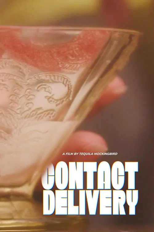 Poster do filme Contact Delivery