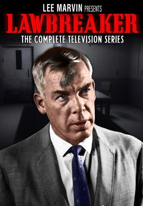 The Lawbreakers tv show poster