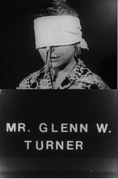 Mr. Glenn W. Turner movie poster