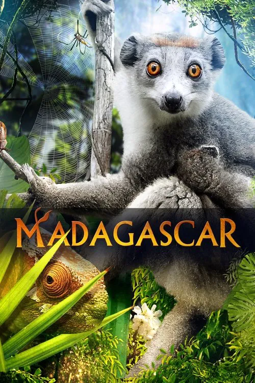 Madagascar 3D movie poster