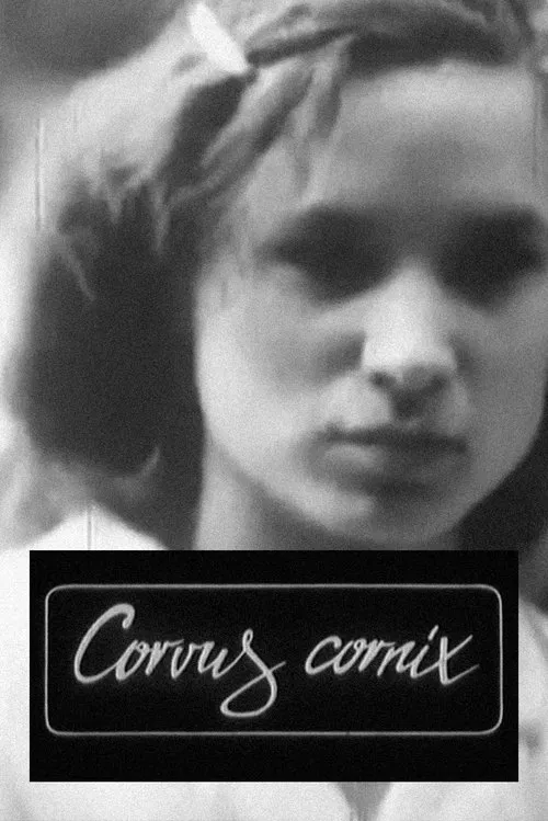 Corvus Cornix - From Latin as Raven movie poster