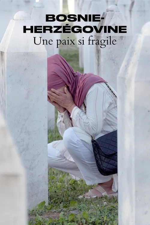 Bosnie-Herzégovine - Une paix si fragile movie poster