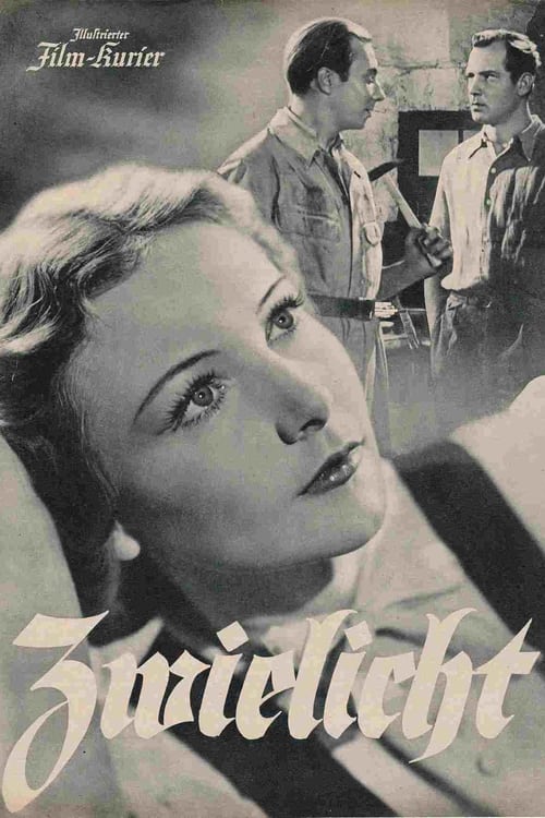 Zwielicht movie poster