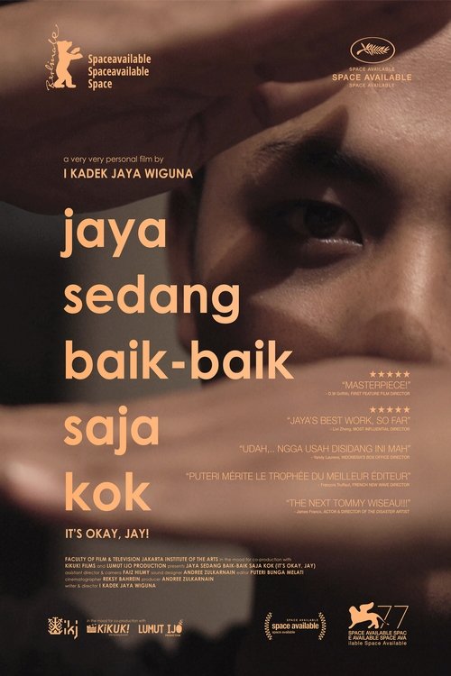 It's Okay, Jay! movie poster