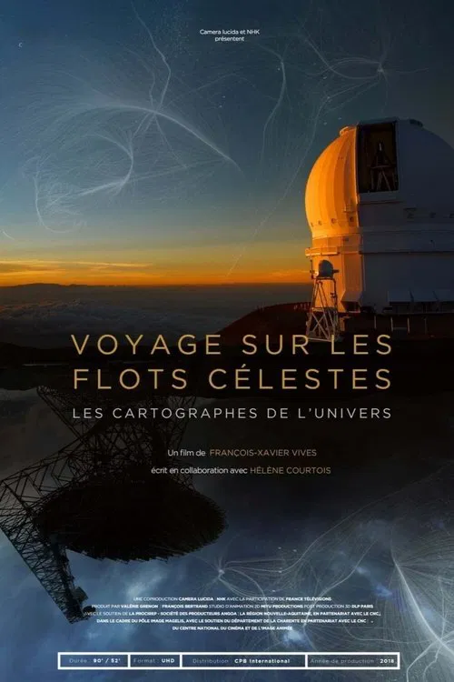 Cosmis Flows: The Cartographers of the Universe movie poster