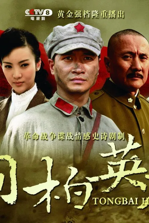 桐柏英雄 tv show poster