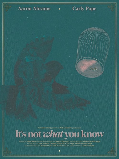 It's Not What You Know movie poster