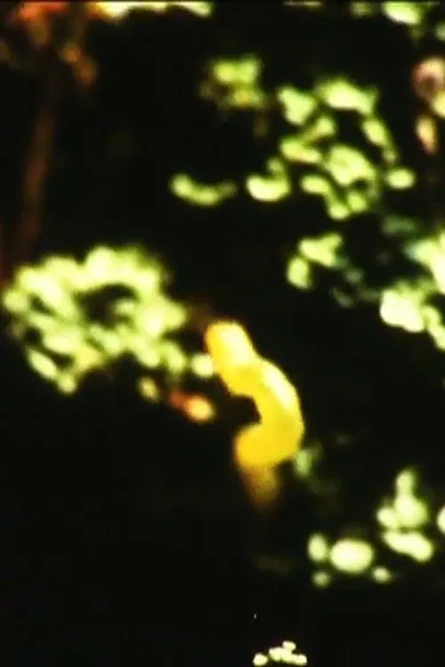 Caterpillar movie poster
