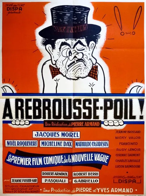 À rebrousse-poil movie poster