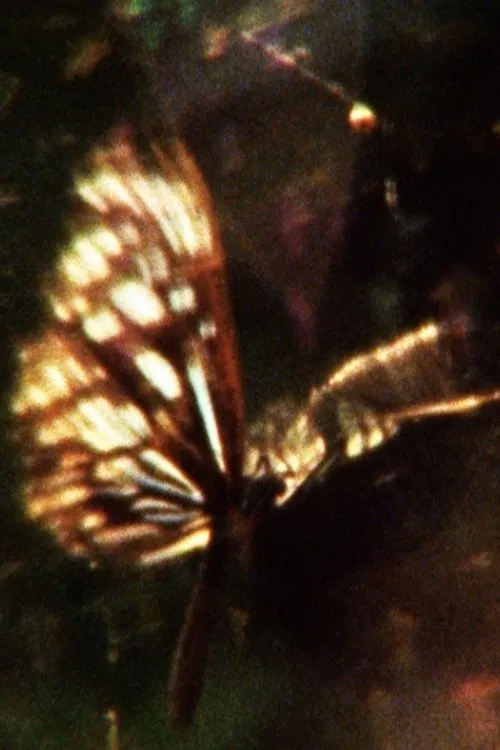 A Flea’s Skin Would Be Too Big For You movie poster