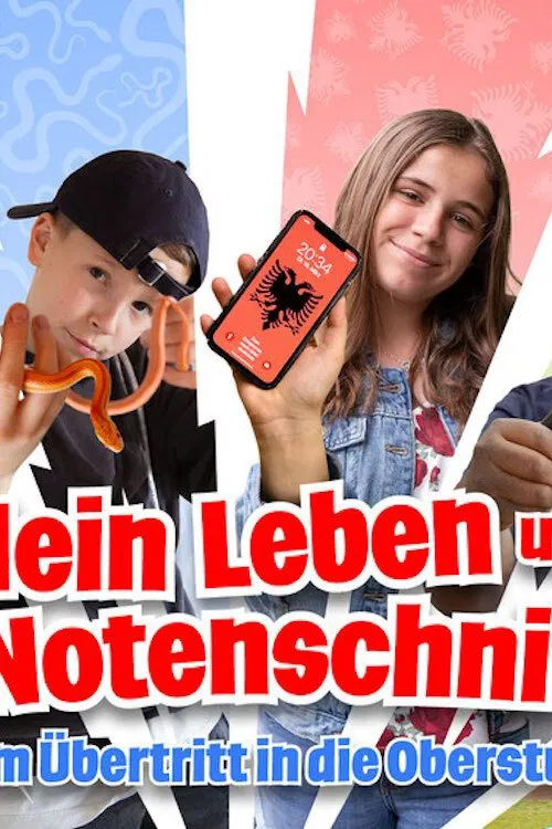 Mein Leben und der Notenschnitt movie poster