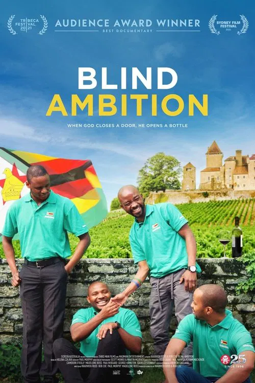 Blind Ambition movie poster