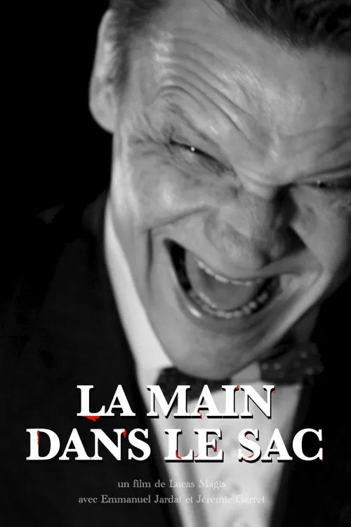 La Main dans le sac movie poster