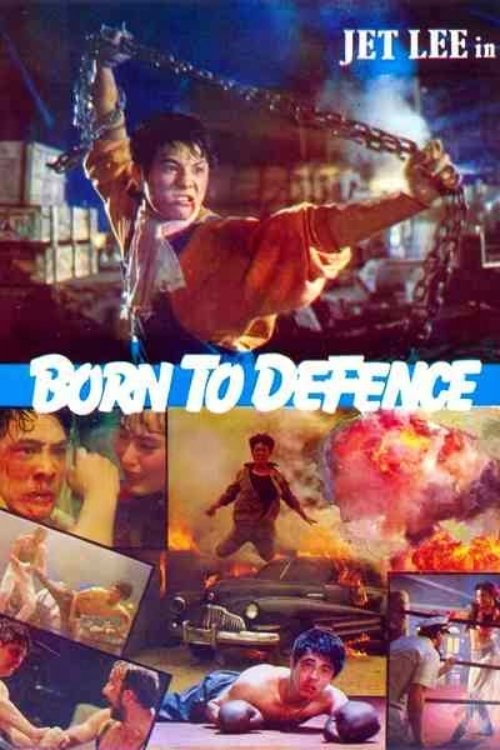 Born to Defence movie poster
