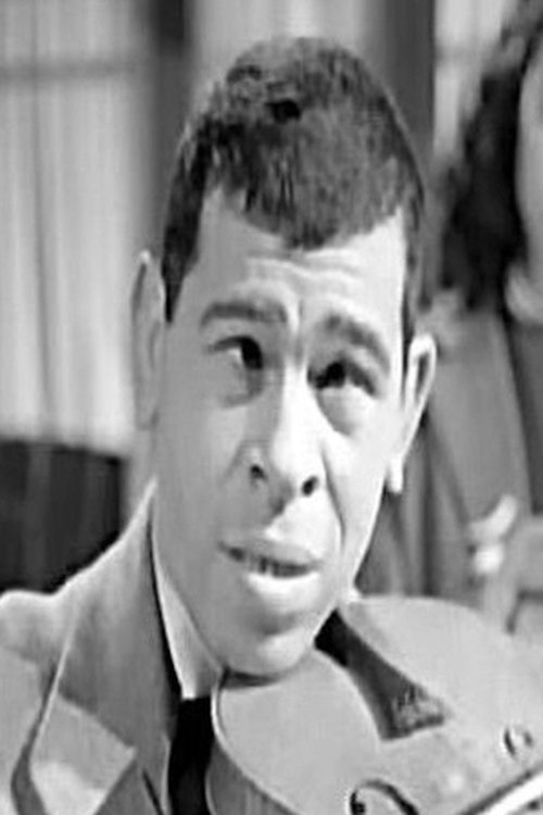 Safa El Gamil profile picture